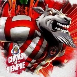 Meet your Posher, Mario